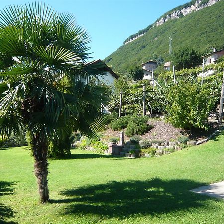 Garni Hotel Ritterhof Termeno Kültér fotó