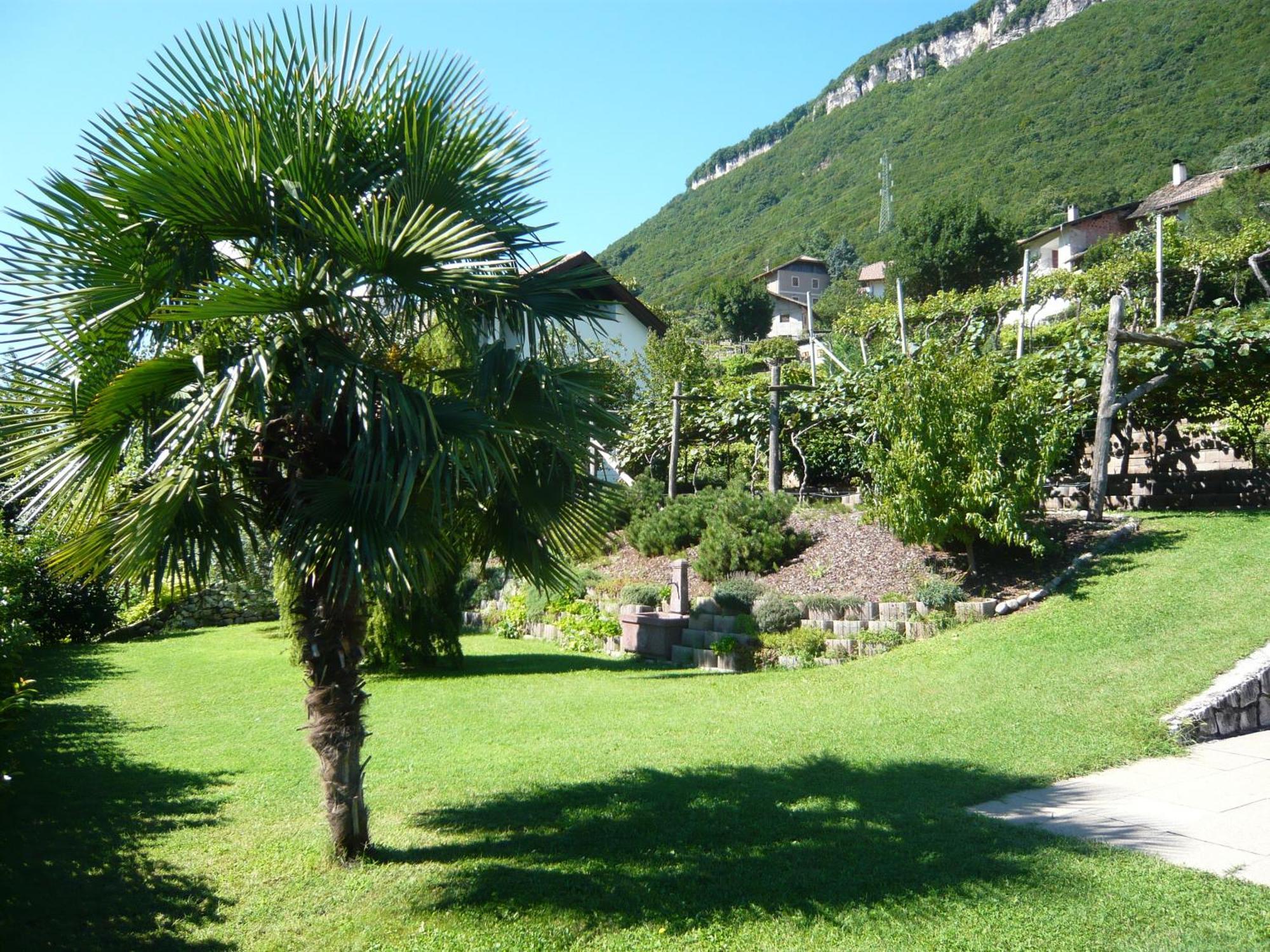 Garni Hotel Ritterhof Termeno Kültér fotó